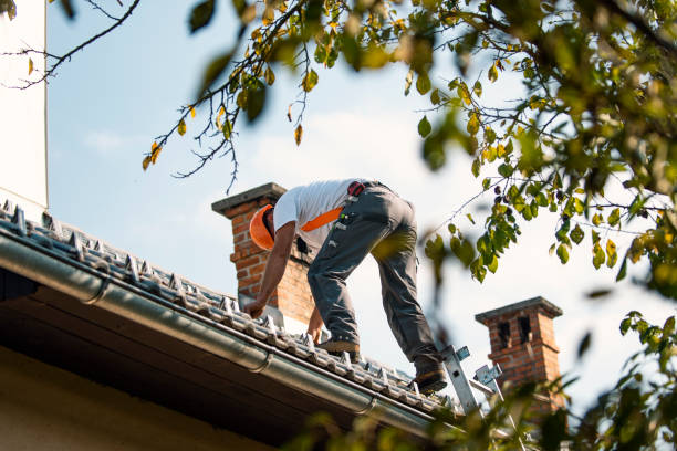 Best Roof Maintenance and Cleaning  in Byng, OK